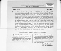Puccinia carlinae image